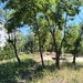 Galati, Micro 21,